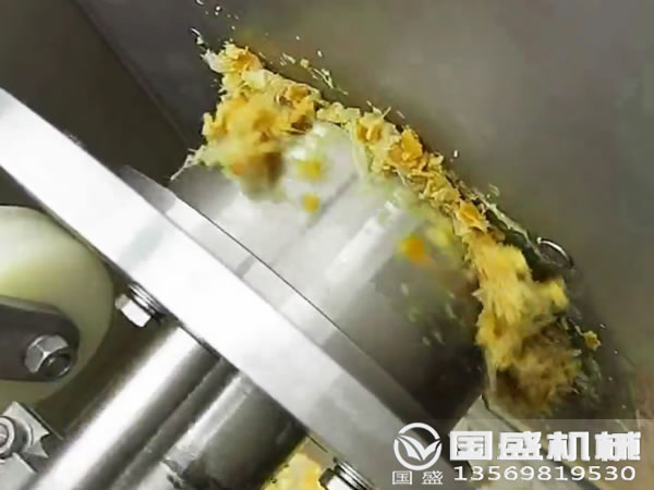 柑橘壓榨機 柑橘壓榨機