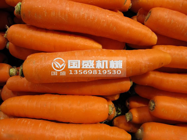 小蝌蚪视频下载胡蘿卜脫水擠壓機 小蝌蚪视频下载胡蘿卜脫水擠壓機